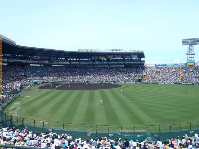 Một số Baseball Ground nổi tiếng